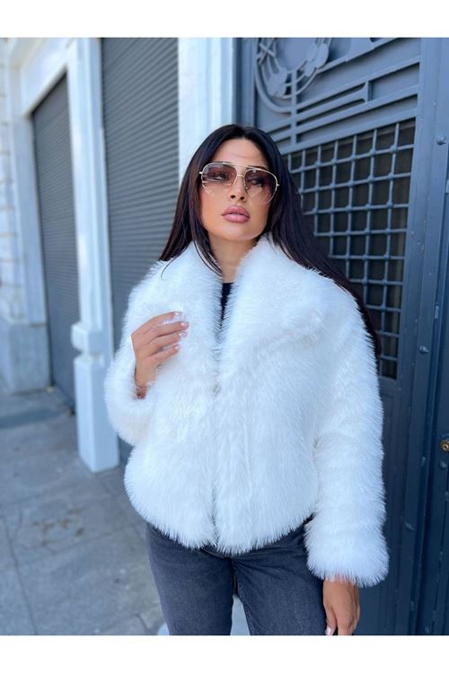 Bisiklet Yaka Lolita